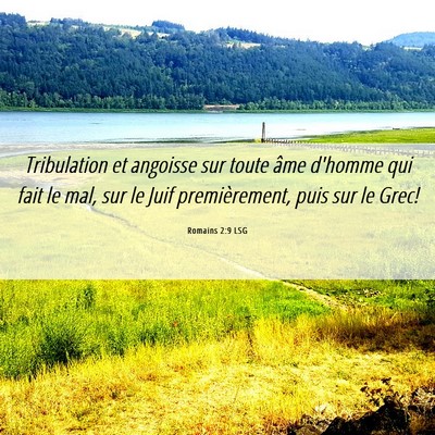 Picture 06 - Romains 2:9 LSG - Tribulation et angoisse sur toute âme d'homme - Bible Verse Picture