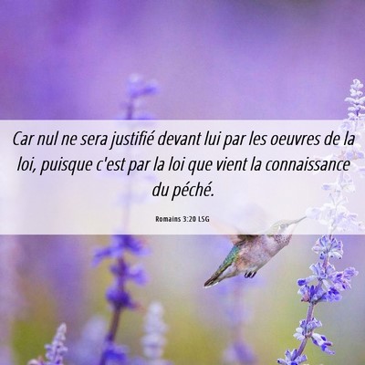 Picture 06 - Romains 3:20 LSG - Car nul ne sera justifié devant lui par les - Bible Verse Picture