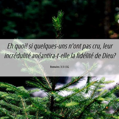 Picture 06 - Romains 3:3 LSG - Eh quoi! si quelques-uns n'ont pas cru, leur - Bible Verse Picture