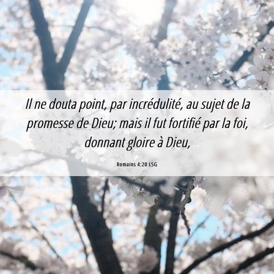 Picture 06 - Romains 4:20 LSG - Il ne douta point, par incrédulité, au sujet de - Bible Verse Picture