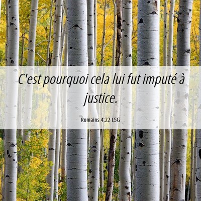 Picture 06 - Romains 4:22 LSG - C'est pourquoi cela lui fut imputé à - Bible Verse Picture