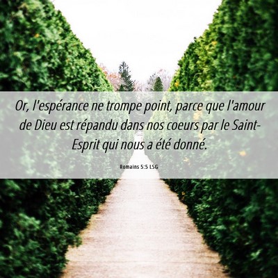 Picture 06 - Romains 5:5 LSG - Or, l'espérance ne trompe point, parce que - Bible Verse Picture
