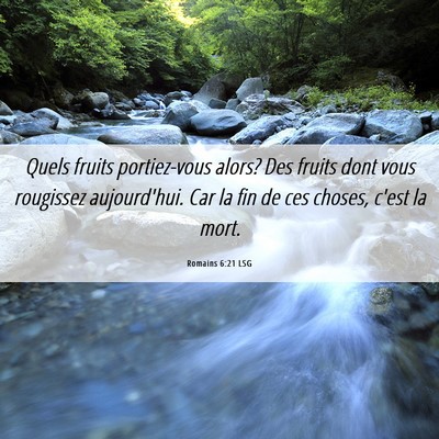 Picture 06 - Romains 6:21 LSG - Quels fruits portiez-vous alors? Des fruits dont - Bible Verse Picture