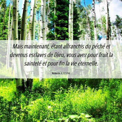 Picture 06 - Romains 6:22 LSG - Mais maintenant, étant affranchis du péché et - Bible Verse Picture
