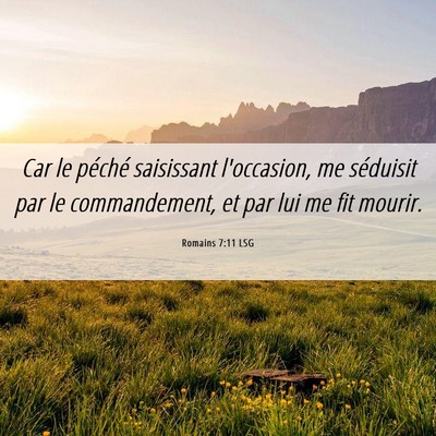 Picture 06 - Romains 7:11 LSG - Car le péché saisissant l'occasion, me - Bible Verse Picture