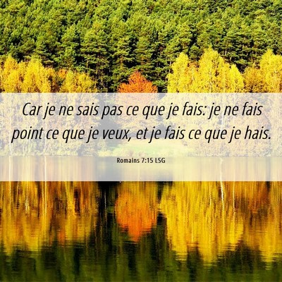 Picture 06 - Romains 7:15 LSG - Car je ne sais pas ce que je fais: je ne fais - Bible Verse Picture