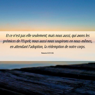 Picture 06 - Romains 8:23 LSG - Et ce n'est pas elle seulement; mais nous aussi, - Bible Verse Picture