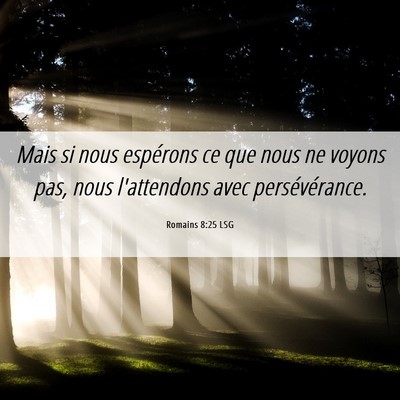 Picture 06 - Romains 8:25 LSG - Mais si nous espérons ce que nous ne voyons pas, - Bible Verse Picture