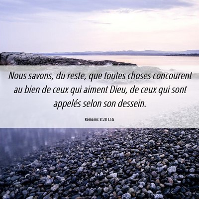 Picture 06 - Romains 8:28 LSG - Nous savons, du reste, que toutes choses - Bible Verse Picture