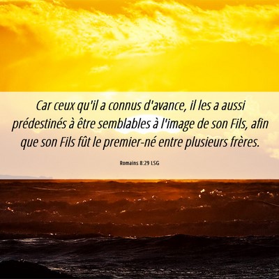 Picture 06 - Romains 8:29 LSG - Car ceux qu'il a connus d'avance, il les a aussi - Bible Verse Picture
