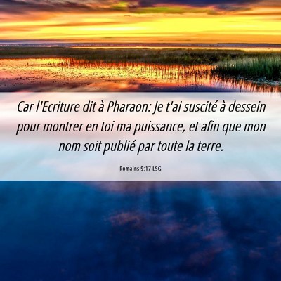 Picture 06 - Romains 9:17 LSG - Car l'Ecriture dit à Pharaon: Je t'ai suscité - Bible Verse Picture