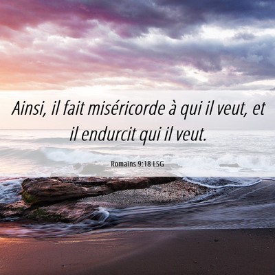 Picture 06 - Romains 9:18 LSG - Ainsi, il fait miséricorde à qui il veut, et il - Bible Verse Picture