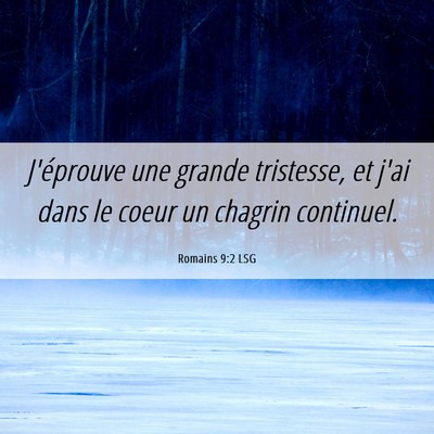 Picture 06 - Romains 9:2 LSG - J'éprouve une grande tristesse, et j'ai dans le - Bible Verse Picture