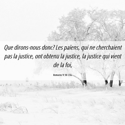 Picture 06 - Romains 9:30 LSG - Que dirons-nous donc? Les païens, qui ne - Bible Verse Picture