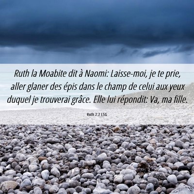 Picture 06 - Ruth 2:2 LSG - Ruth la Moabite dit à Naomi: Laisse-moi, je te - Bible Verse Picture