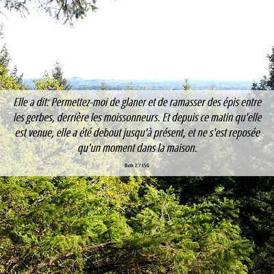 Picture 06 - Ruth 2:7 LSG - Elle a dit: Permettez-moi de glaner et de - Bible Verse Picture