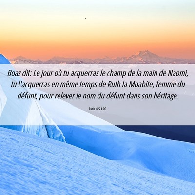 Picture 06 - Ruth 4:5 LSG - Boaz dit: Le jour où tu acquerras le champ de la - Bible Verse Picture