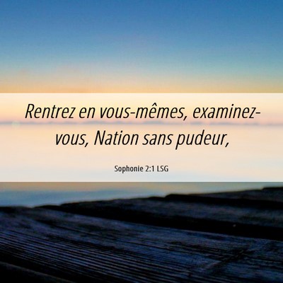 Picture 06 - Sophonie 2:1 LSG - Rentrez en vous-mêmes, examinez-vous, Nation - Bible Verse Picture