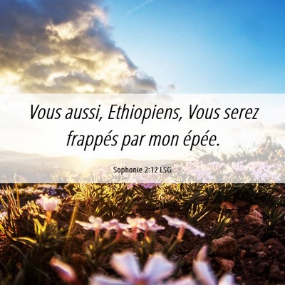 Picture 06 - Sophonie 2:12 LSG - Vous aussi, Ethiopiens, Vous serez frappés par - Bible Verse Picture