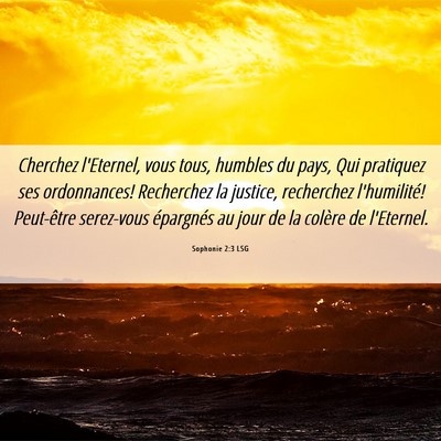 Picture 06 - Sophonie 2:3 LSG - Cherchez l'Eternel, vous tous, humbles du pays, - Bible Verse Picture