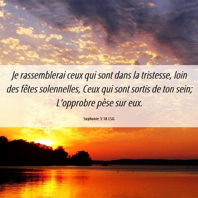 Picture 06 - Sophonie 3:18 LSG - Je rassemblerai ceux qui sont dans la tristesse, - Bible Verse Picture