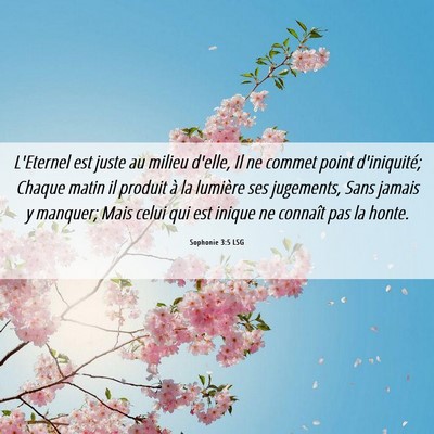Picture 06 - Sophonie 3:5 LSG - L'Eternel est juste au milieu d'elle, Il ne - Bible Verse Picture