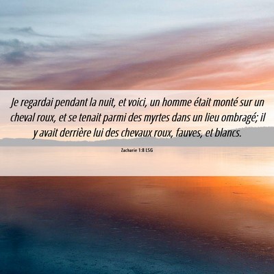 Picture 06 - Zacharie 1:8 LSG - Je regardai pendant la nuit, et voici, un homme - Bible Verse Picture