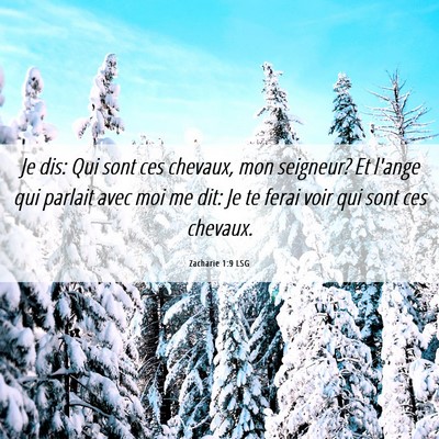 Picture 06 - Zacharie 1:9 LSG - Je dis: Qui sont ces chevaux, mon seigneur? Et - Bible Verse Picture