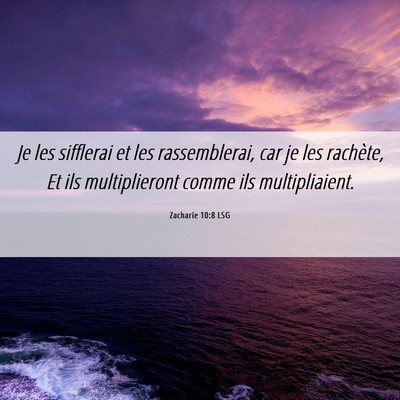 Picture 06 - Zacharie 10:8 LSG - Je les sifflerai et les rassemblerai, car je les - Bible Verse Picture