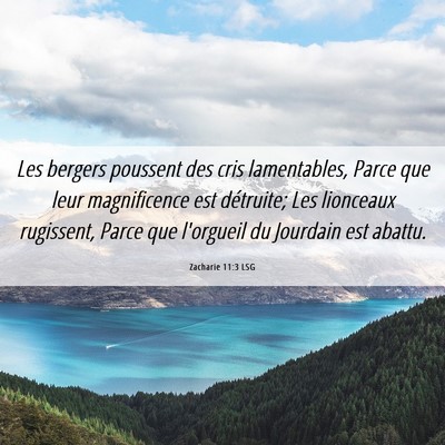 Picture 06 - Zacharie 11:3 LSG - Les bergers poussent des cris lamentables, Parce - Bible Verse Picture