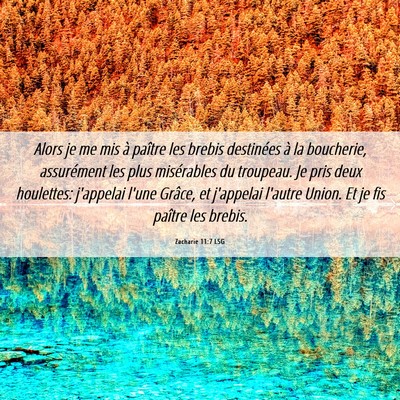 Picture 06 - Zacharie 11:7 LSG - Alors je me mis à paître les brebis destinées - Bible Verse Picture