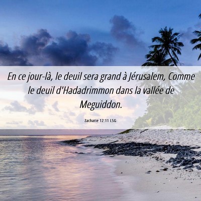 Picture 06 - Zacharie 12:11 LSG - En ce jour-là, le deuil sera grand à - Bible Verse Picture