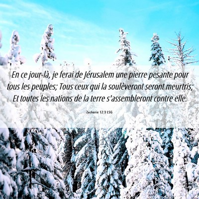 Picture 06 - Zacharie 12:3 LSG - En ce jour-là, je ferai de Jérusalem une pierre - Bible Verse Picture