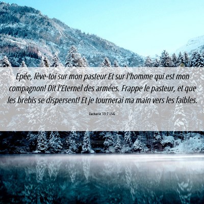 Picture 06 - Zacharie 13:7 LSG - Epée, lève-toi sur mon pasteur Et sur l'homme - Bible Verse Picture