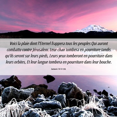 Picture 06 - Zacharie 14:12 LSG - Voici la plaie dont l'Eternel frappera tous les - Bible Verse Picture