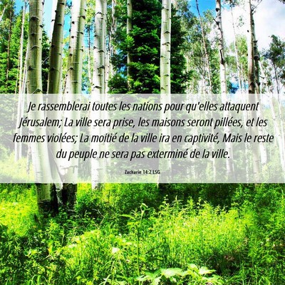 Picture 06 - Zacharie 14:2 LSG - Je rassemblerai toutes les nations pour qu'elles - Bible Verse Picture