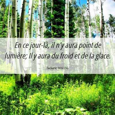 Picture 06 - Zacharie 14:6 LSG - En ce jour-là, il n'y aura point de lumière; Il - Bible Verse Picture