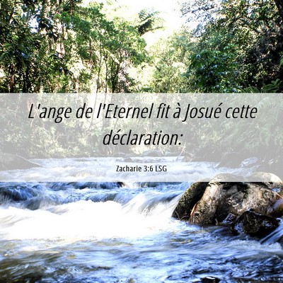 Picture 06 - Zacharie 3:6 LSG - L'ange de l'Eternel fit à Josué cette - Bible Verse Picture