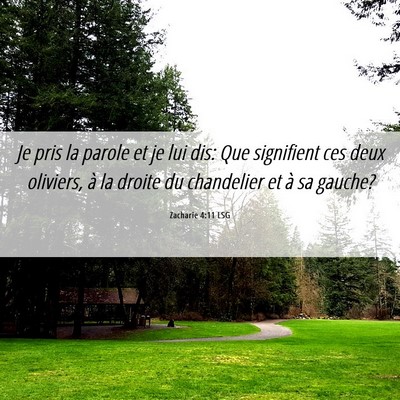 Picture 06 - Zacharie 4:11 LSG - Je pris la parole et je lui dis: Que signifient - Bible Verse Picture