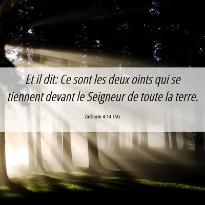 Picture 06 - Zacharie 4:14 LSG - Et il dit: Ce sont les deux oints qui se tiennent - Bible Verse Picture