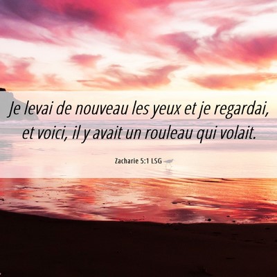 Picture 06 - Zacharie 5:1 LSG - Je levai de nouveau les yeux et je regardai, et - Bible Verse Picture