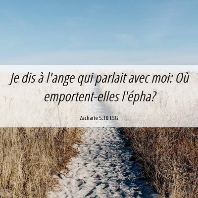 Picture 06 - Zacharie 5:10 LSG - Je dis à l'ange qui parlait avec moi: Où - Bible Verse Picture