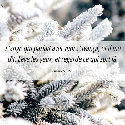 Picture 06 - Zacharie 5:5 LSG - L'ange qui parlait avec moi s'avança, et il me - Bible Verse Picture