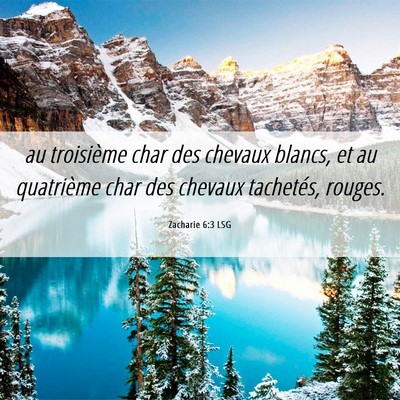 Picture 06 - Zacharie 6:3 LSG - au troisième char des chevaux blancs, et au - Bible Verse Picture