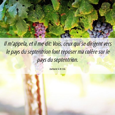 Picture 06 - Zacharie 6:8 LSG - Il m'appela, et il me dit: Vois, ceux qui se - Bible Verse Picture