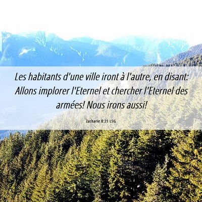 Picture 06 - Zacharie 8:21 LSG - Les habitants d'une ville iront à l'autre, en - Bible Verse Picture