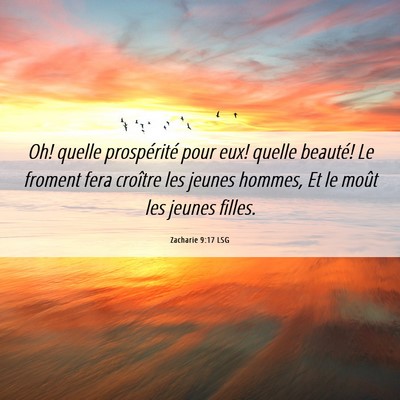 Picture 06 - Zacharie 9:17 LSG - Oh! quelle prospérité pour eux! quelle beauté! - Bible Verse Picture
