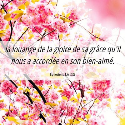 Picture 06 - Éphésiens 1:6 LSG - la louange de la gloire de sa grâce qu'il nous a - Bible Verse Picture