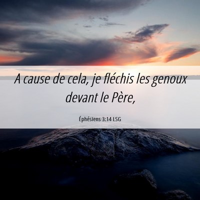 Picture 06 - Éphésiens 3:14 LSG - A cause de cela, je fléchis les genoux devant le - Bible Verse Picture