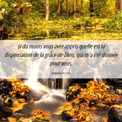 Picture 06 - Éphésiens 3:2 LSG - si du moins vous avez appris quelle est la - Bible Verse Picture